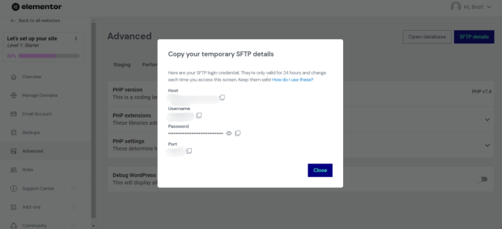 Elementor SFTP Access 